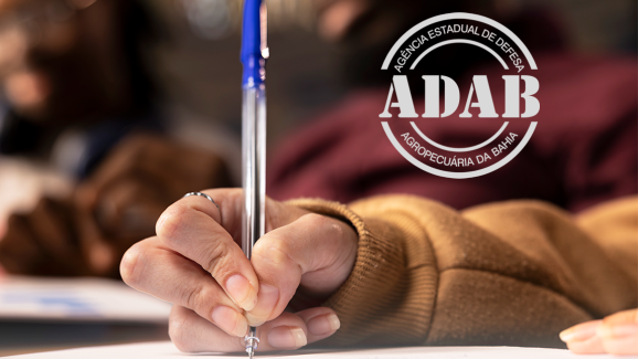 Concurso Adab Site